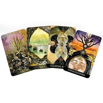 未開封　新品the faceted garden oracle 正規品 The Faceted Garden Oracle - Explore The Beautiful Gardens