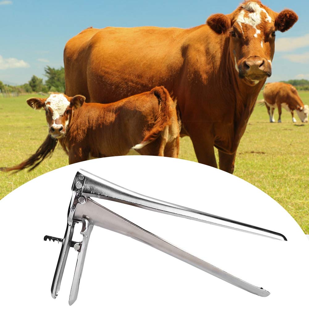 Vaginal Spekulum, Kuhvieh Vaginal Dilatator Rinder Vaginalspekulum Kuh Rinder-Vaginaldilatator für Haustier Tier