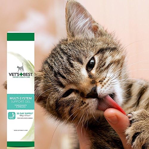 Vet's Best Multi-system support Cat Supplement Gel Promotes Healthy Immune System, 100g