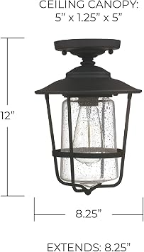 Capital Lighting 9607BK One Light Outdoor Ceiling