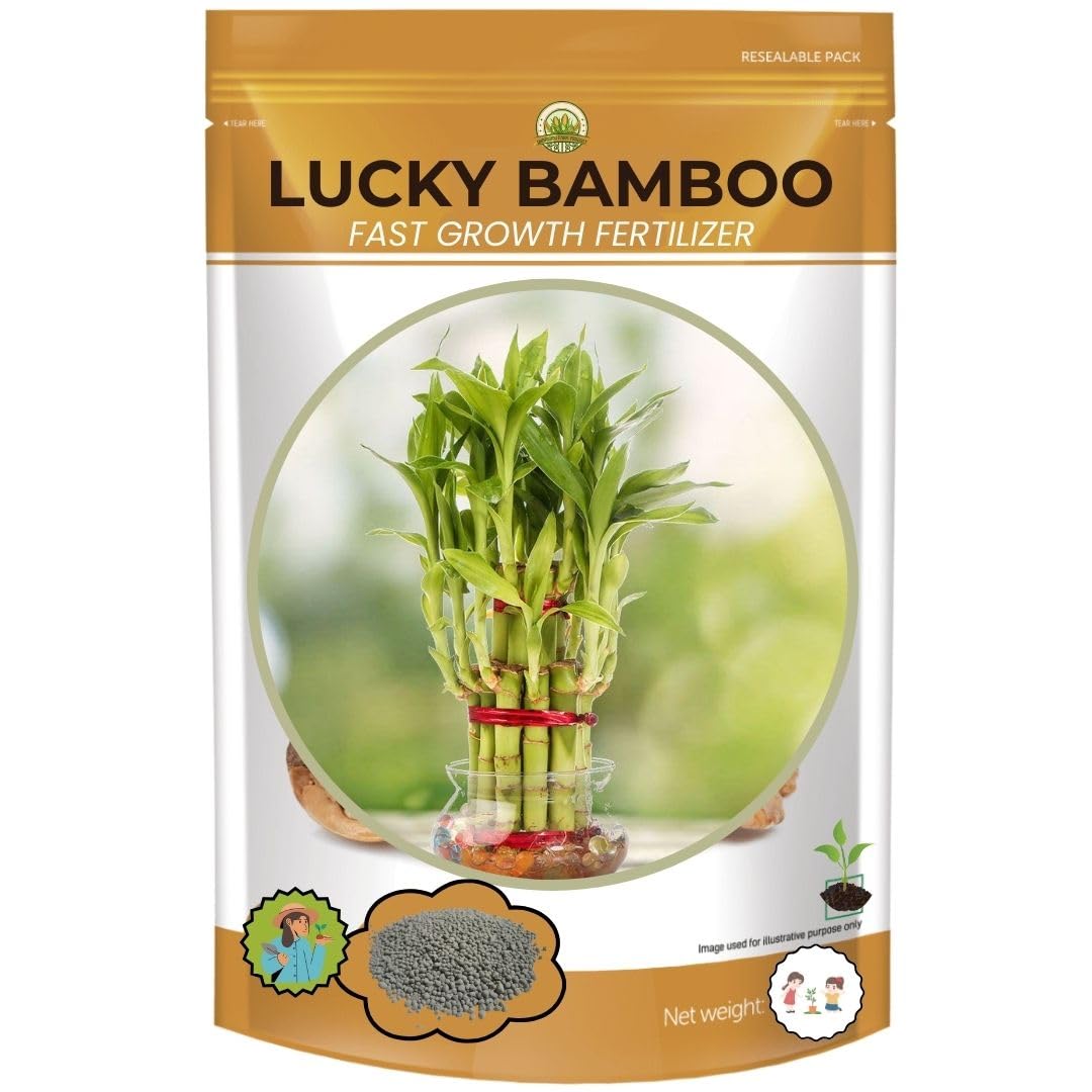 500 GRAMS | LUCKY BAMBOO Plant Food | Plant Nutrient | Plant Fertilizer | Plant Food For Gardening| Enhance Growth| sign of Luck (B0DD7KNS4L) Amazon Price History, Amazon Price Tracker
