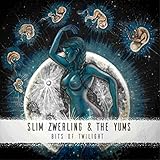  Staring at the Shadows in the Sun