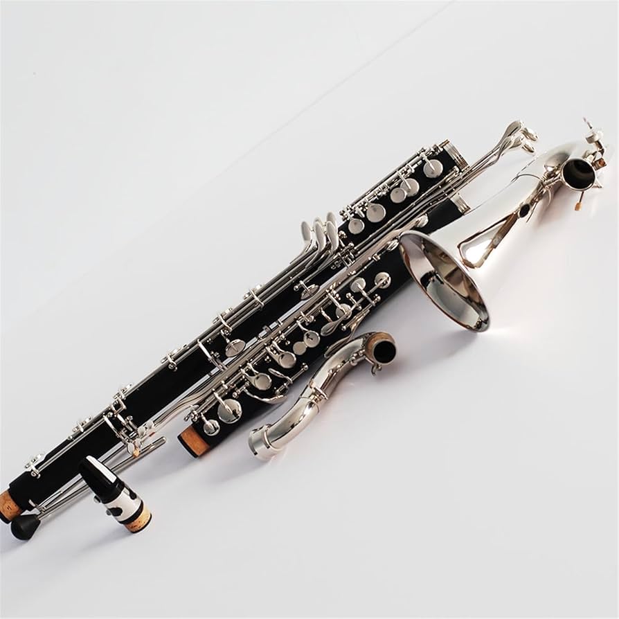 Amazon | 初心者クラリネット 初心者用ハードラバーLow Cバス