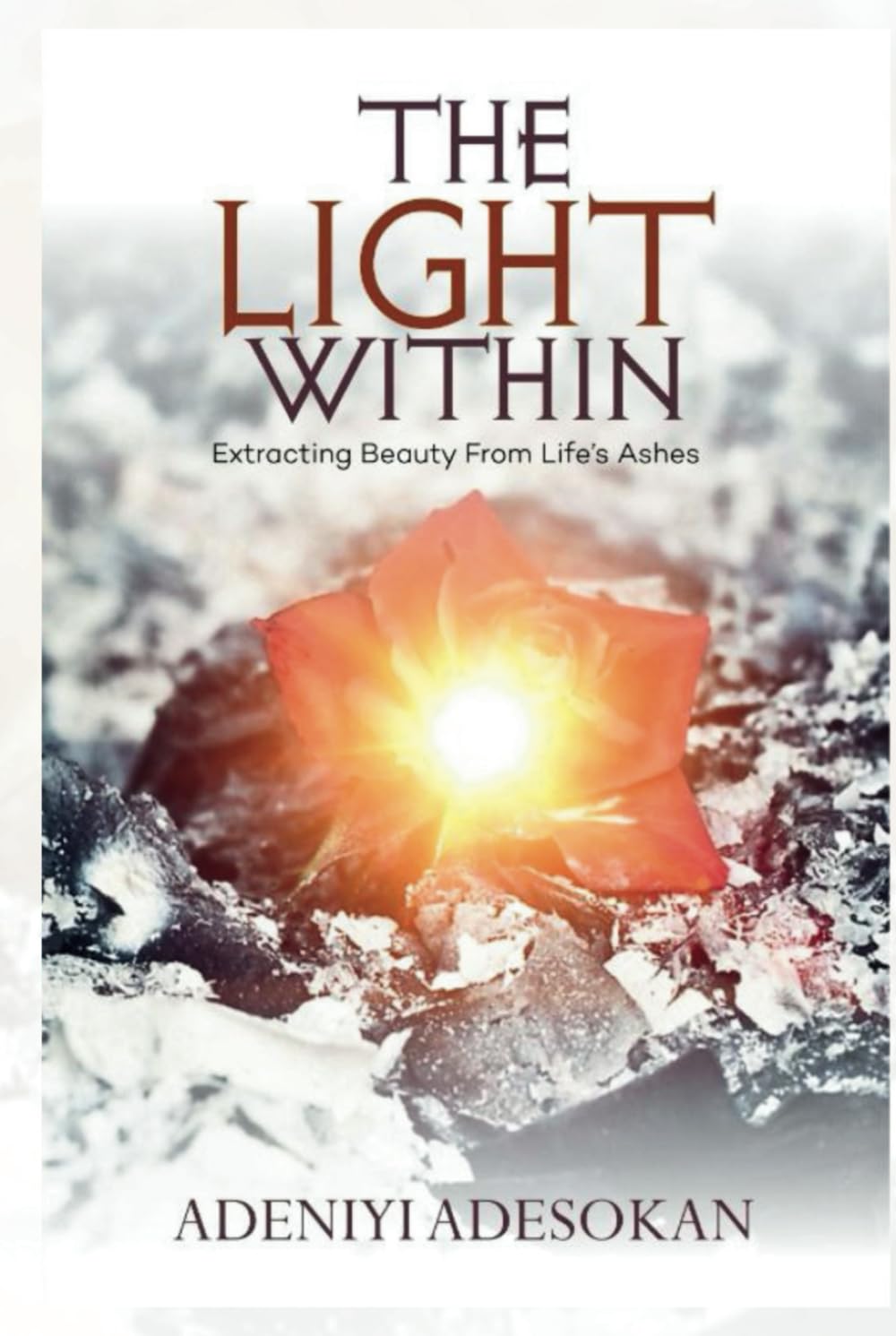 THE LIGHT WITHIN: Extracting Beauty From Life's Ashes