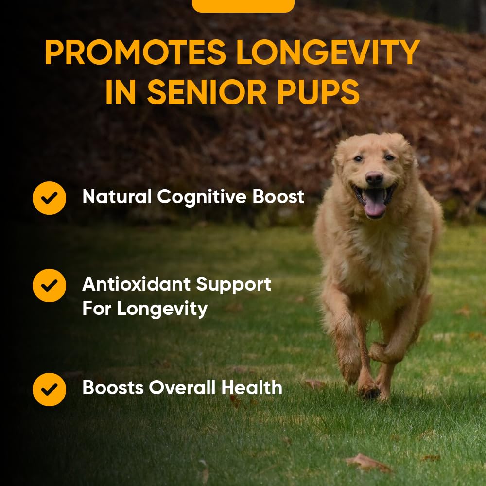 Amazon.com : iHeartDogs Senior Super 7 Daily Dog Multivitamin - 7
