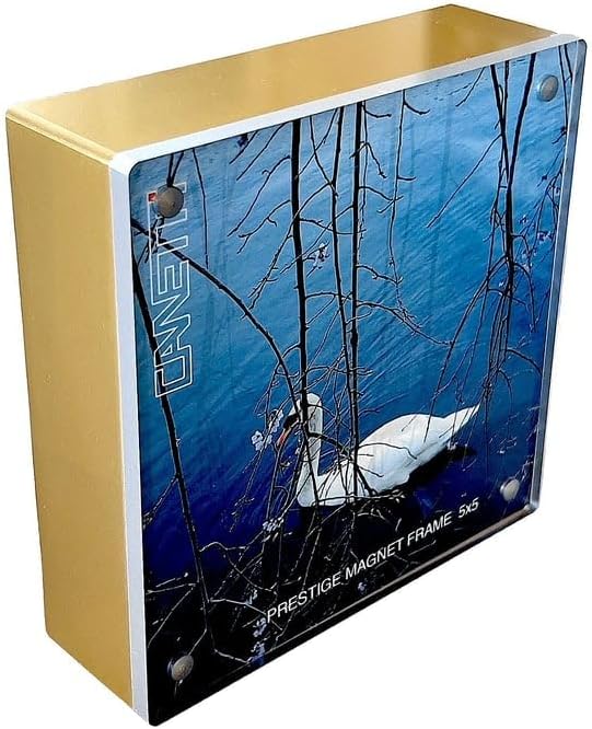 The Prestige Gold/Clear 5x5 Magnet Frame by Canetti(r) - 5x5