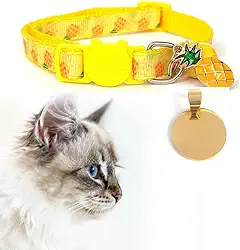 Coleira Ajustável para Gato, Cachorro e Pets Pequenos, com Plaquinha de Identificação em Aço Inoxidável Gravada a Laser (Amarela)