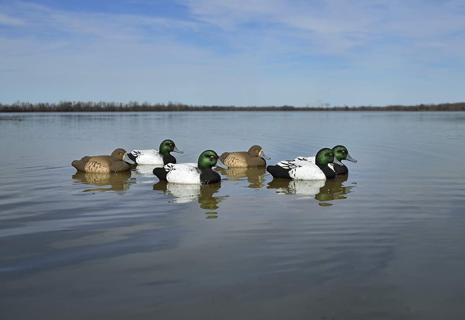 Higdon Outdoors Señuelos estándar de Pato Bluebill, Relleno de Espuma