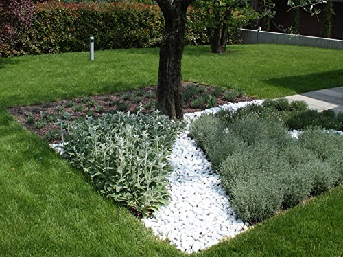 Ciottoli di marmo Bianco Carrara in sacchi sassi decorazione giardino ornamento, 40/60 mm - Sacco da 25KG