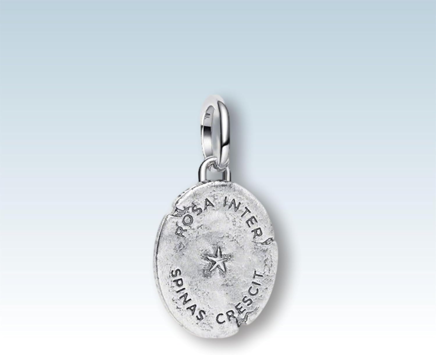 Fashion Charms Compatible for Bracelets,S925 Sterling Silver Charms,For Women Jewelry Present - Image 2