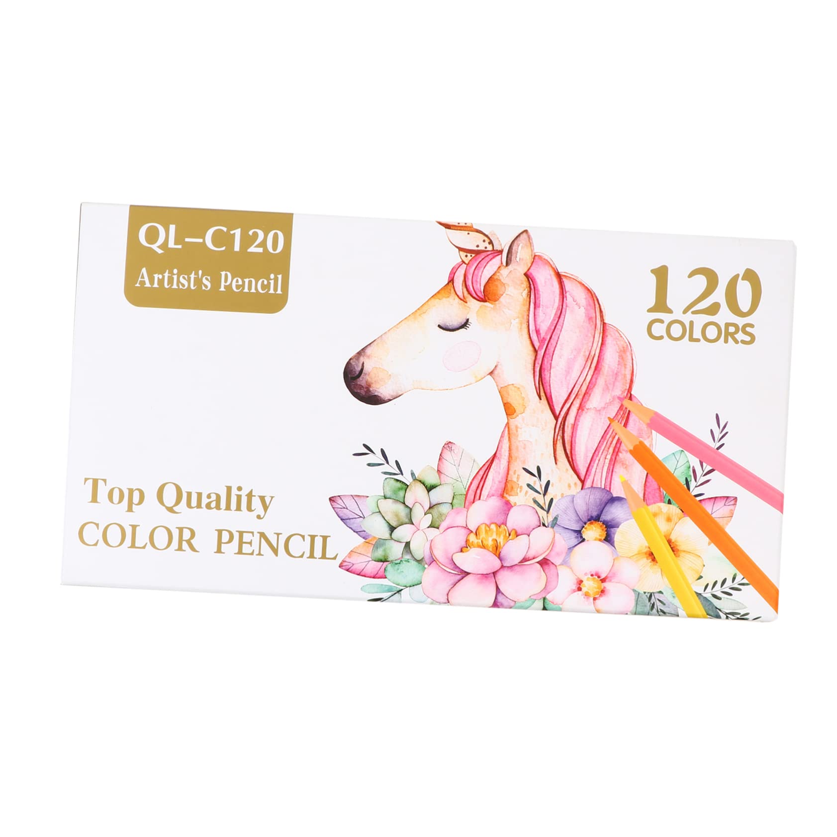Ambiance de Crayons de Couleur Professionnel en Bois