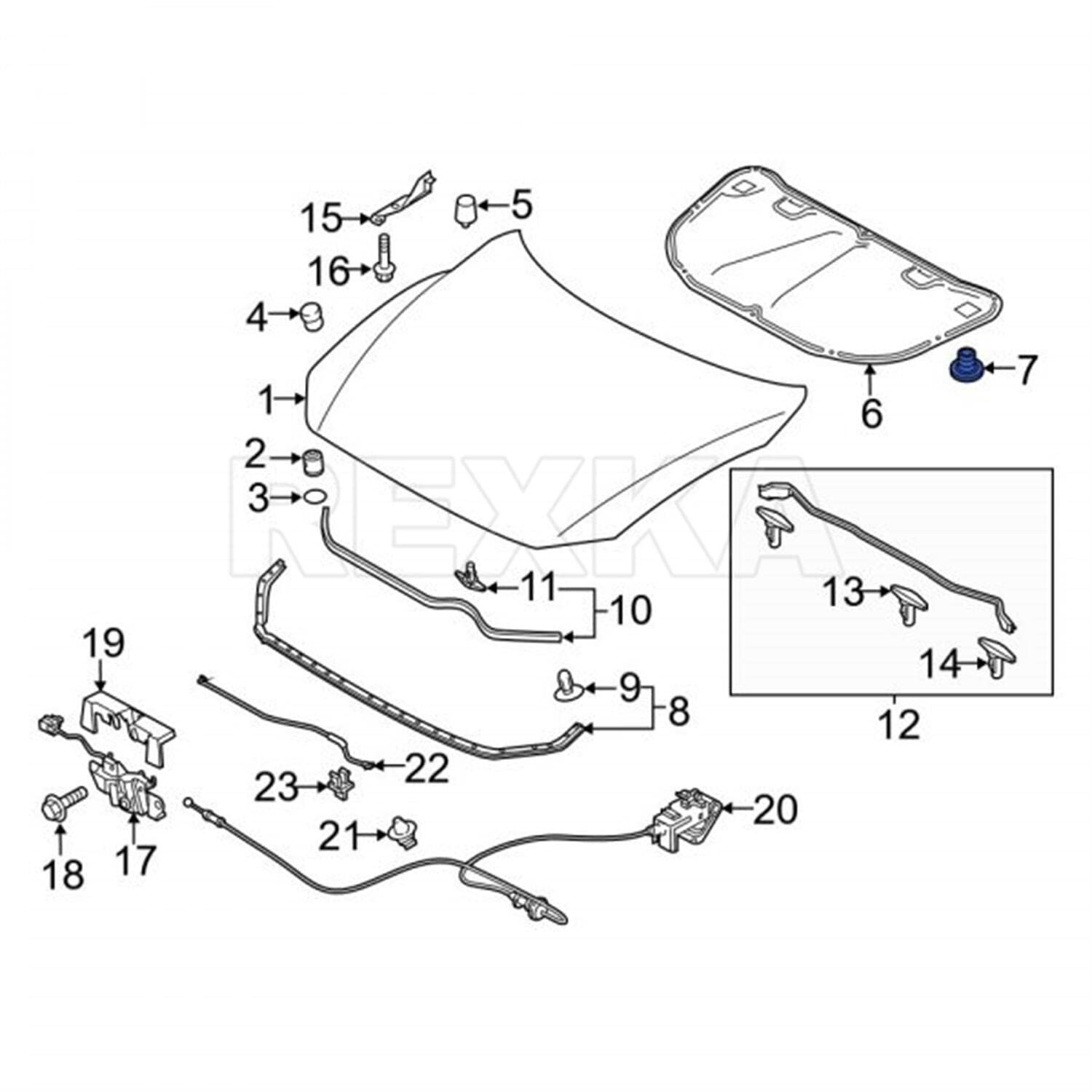 Amazon.com: Rexka 30 pcs Hood Insulation Retainer Clip for Mazda