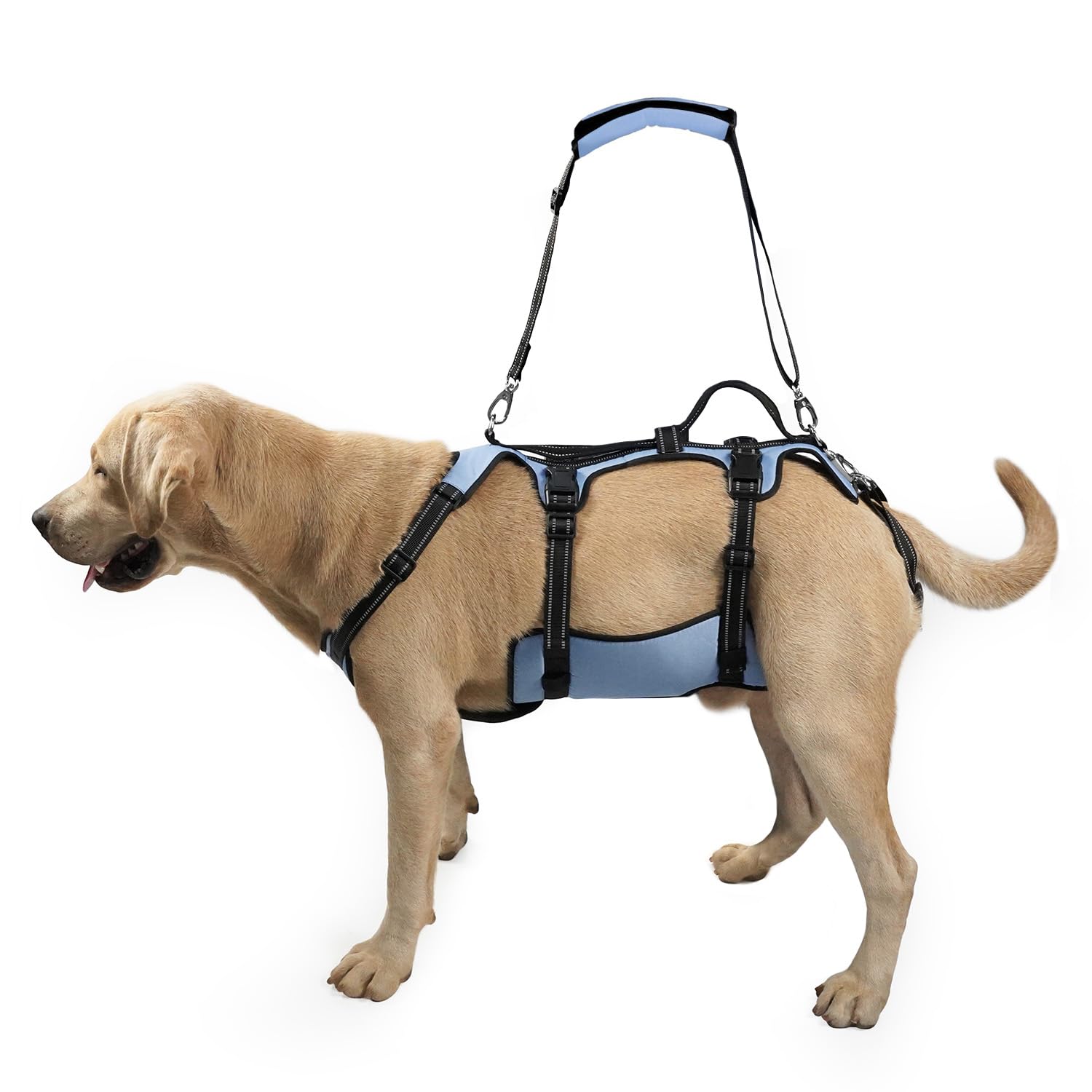 COODEO Dog Lift Harness, Full Body Support & Recovery Sling, Pet Rehabilitation Lifts Vest Adjustable Breathable Straps for Old, Disabled, Joint Injuries, Arthritis, Paralysis Dogs Walk (Blue, L)