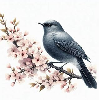 Catbird Journal