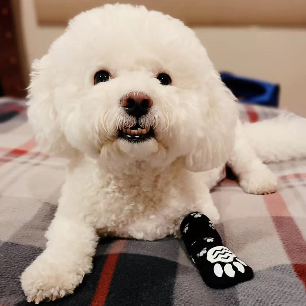 Calzini antiscivolo regolabili per cani, controllo trazione interno - piccolo, medio, grande