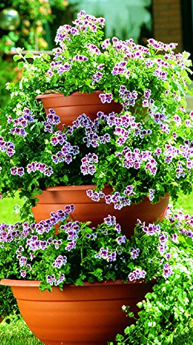 Sana Enterprises Three Tier Plant Stand, Progressively Sized Planters or Flower Pots, Terra-Cotta