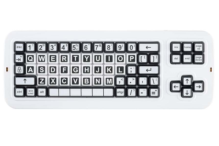 Amazon.com: Clevy Contrast Keyboard - USB Large Print