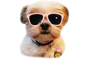 G014 Puppy Sunglasses: Your Furry Friend's New Fashion Statement