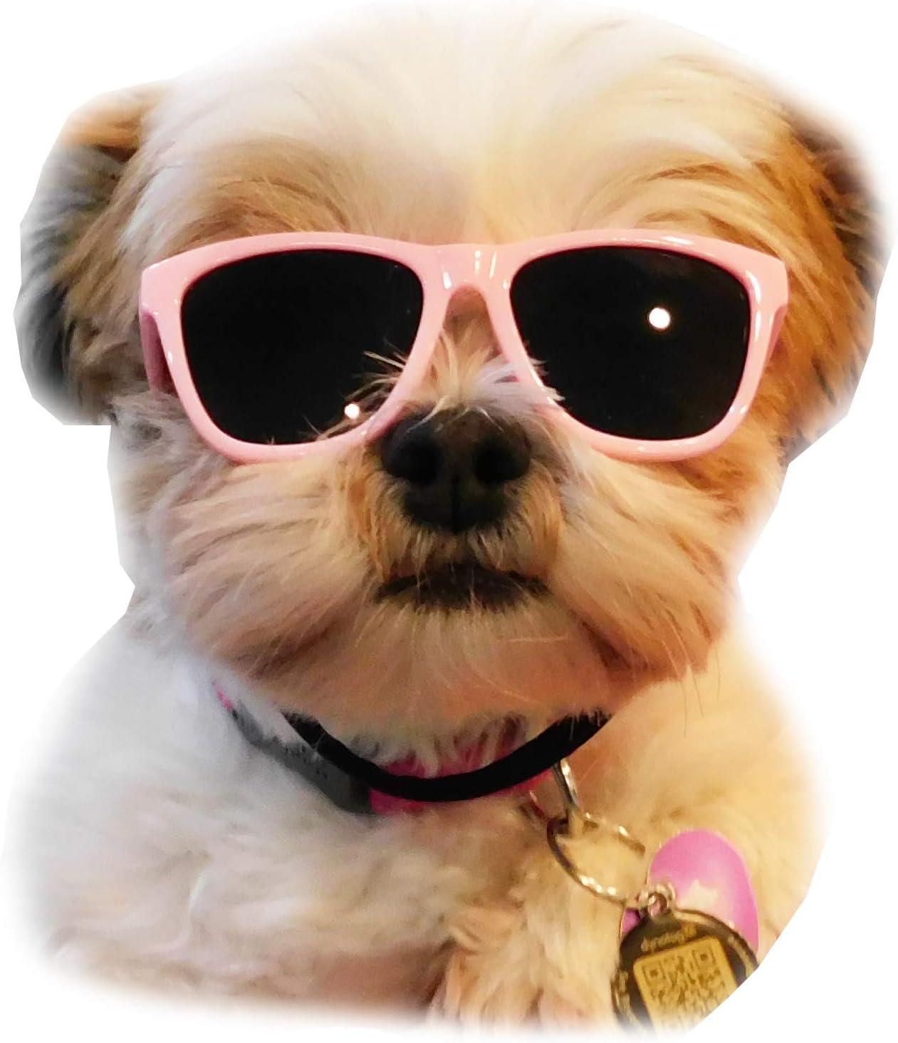 G014 Dog Pet 80s Sunglasses Goggles...