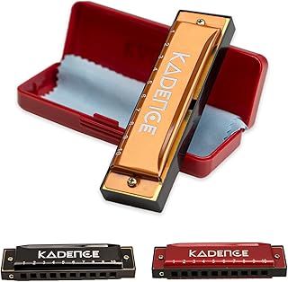 Diatonic Harmonica T104, With Learning course Key of C 10 Holes 20 tones Mouth Organ for Kids Adults and Beginners,with Hard Case (Gold)