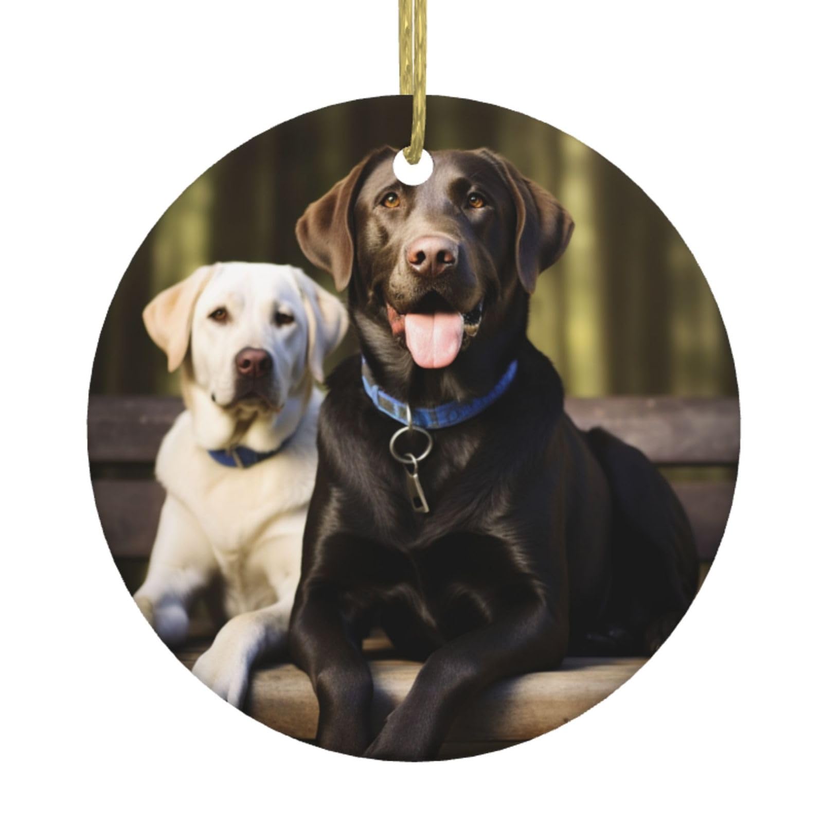 Fodpand Women's White Labrador Christmas Ornaments 2025, Gift Exchange For Men, Collectible Ceramic Ornament Round Hanging Ornaments For Christmas Tree Decoration
