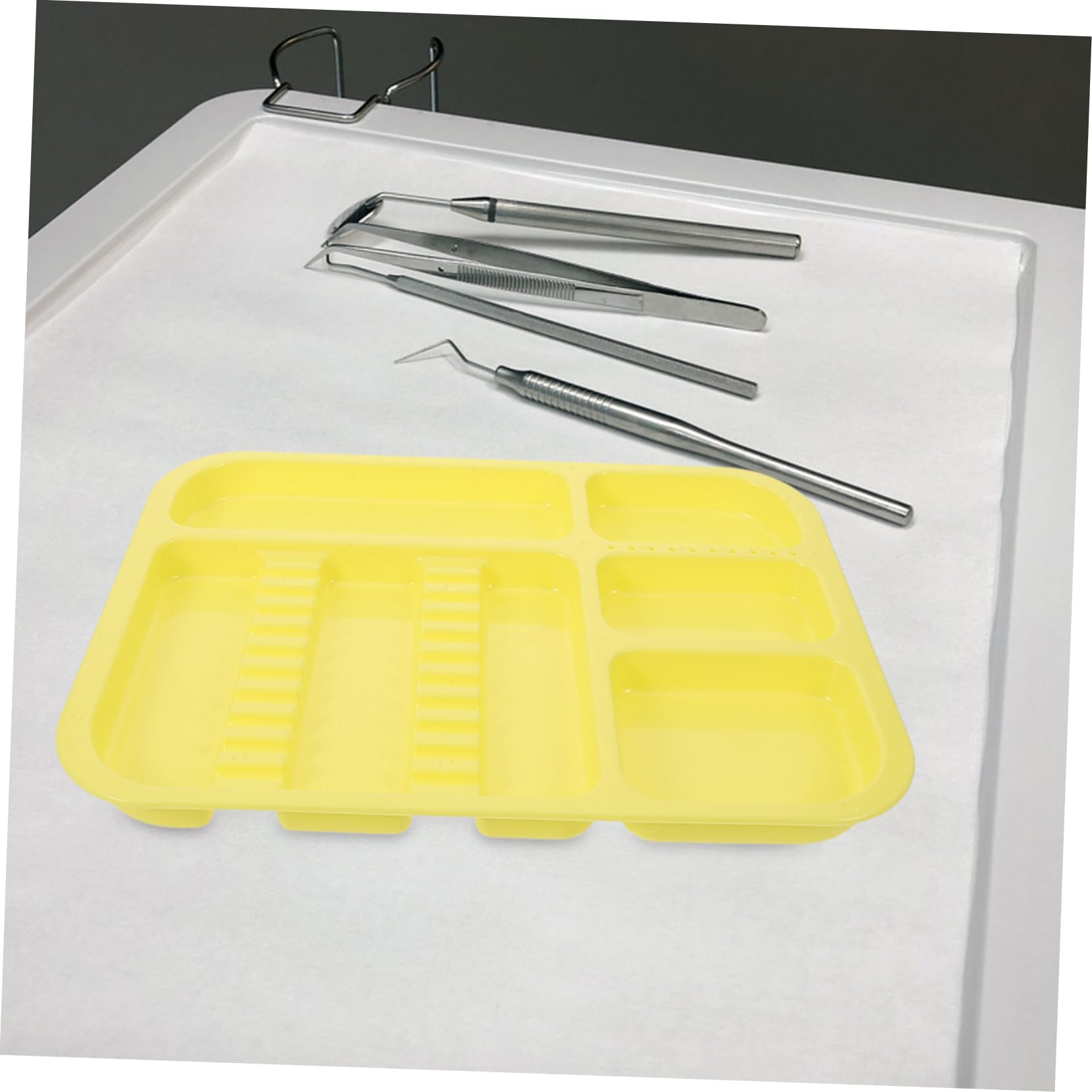 Cabilock Vassoio Diviso per Strumenti Dentista in Plastica Pp, 2 Pezzi
