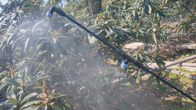 61m4QbAvObL.jpg