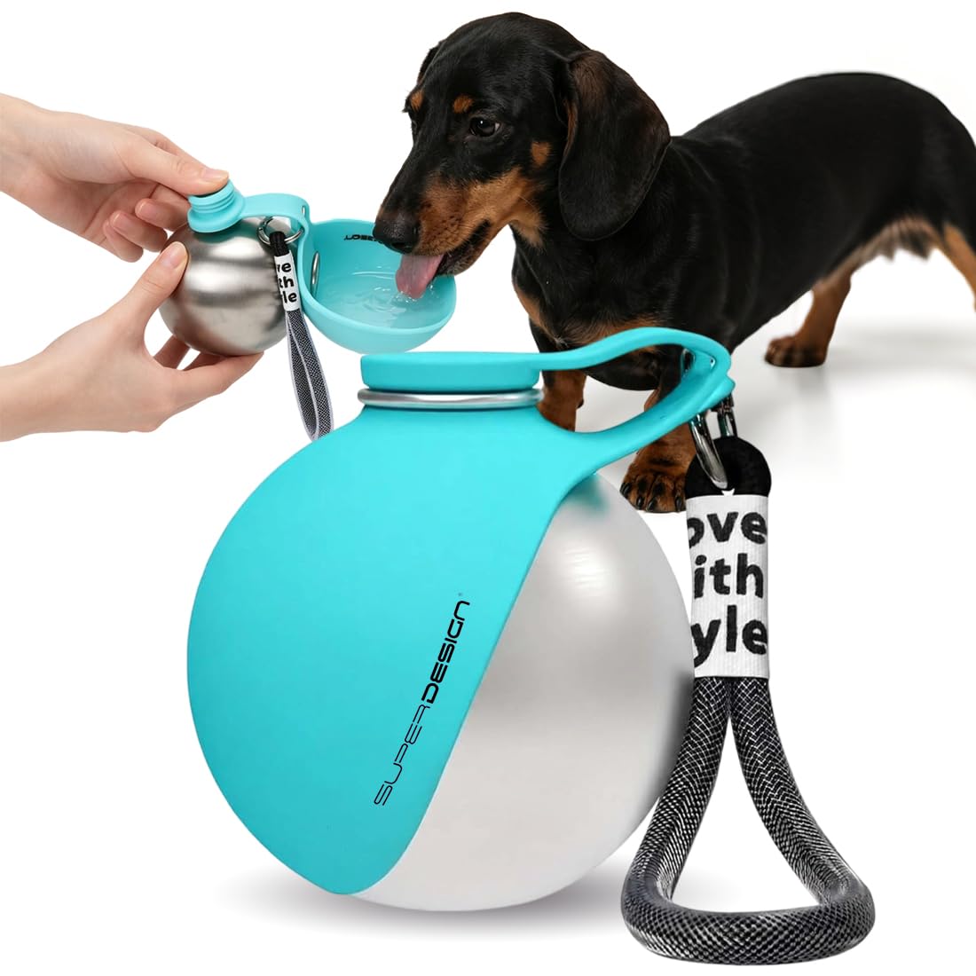 Cadimus Botella para perros para viajes, botella para perros para viajes, 285 ml, botella de acero inoxidable, 2 en 1, bebedero para perros de viaje, para senderismo, viajes, camping (azul)