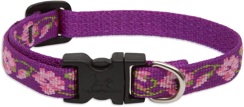LupinePet Originals 1/2″ Rose Garden 10-16″ Adjustable Collar for Small Dogs