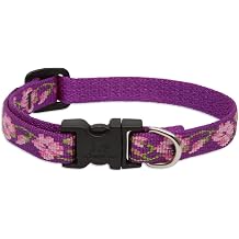 LupinePet Originals 1/2" Rose Garden 10-16" Adjustable Collar for Small Dogs