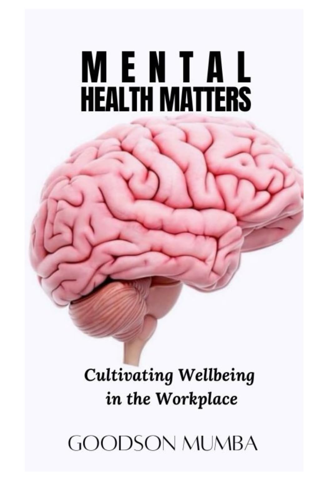 MENTAL HEALTH MATTERS: CULTIVATING WELLBEING IN THE WORKPLACE