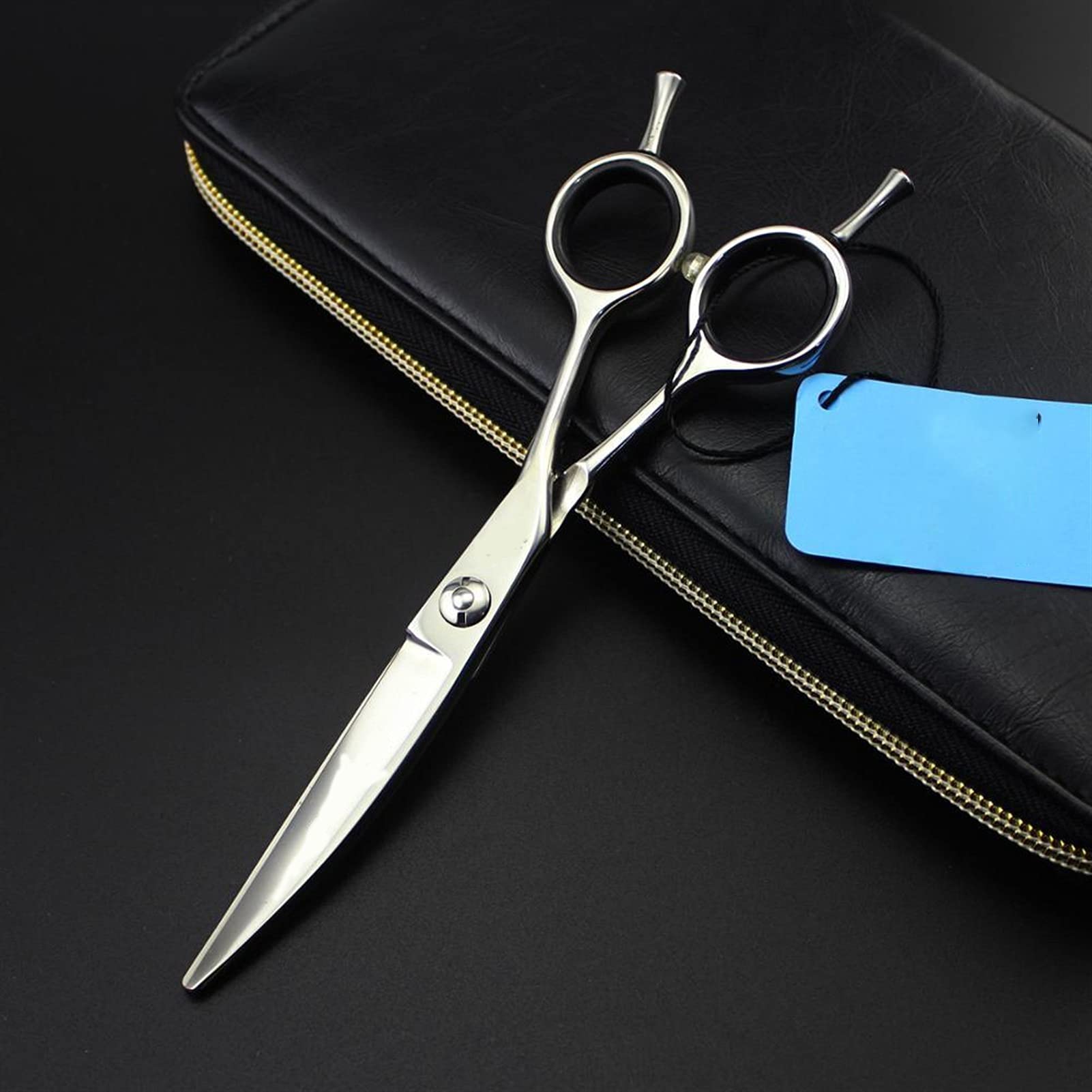 Ciseaux à cheveux en saule de barbier avec vis à roulement et étui de protection élégant