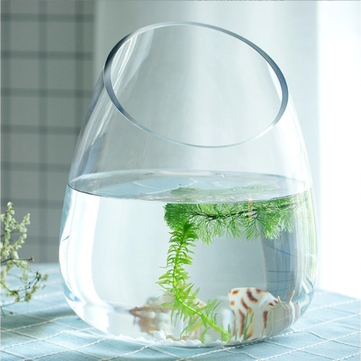 Amazon.co.jp: 金魚鉢 金魚水槽 ガラス花瓶 メダカ水槽 MumuElf 水培
