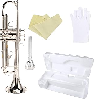 Student Brass Trumpet Brass Instrument Trumpet B-down Brass Trumpet Foam Box Student Beginner Trumpet (Color : Silver)