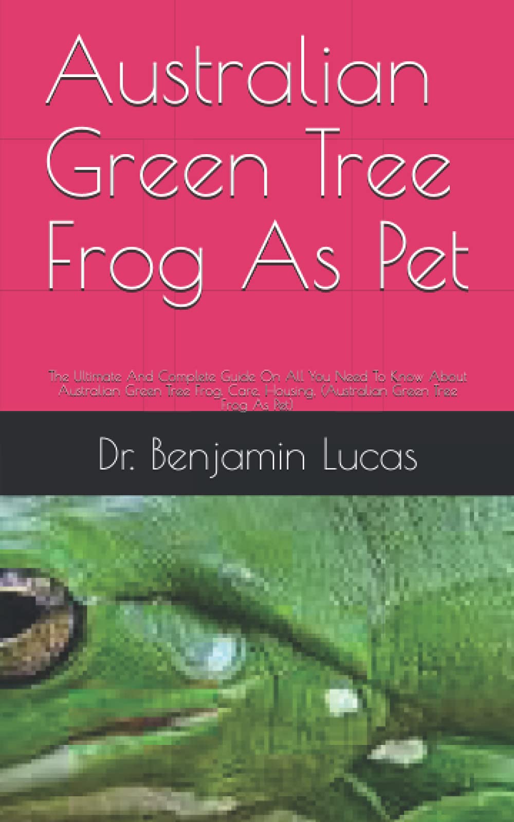 Buy Australian Green Tree Frog As Pet The Ultimate And Complete Guide