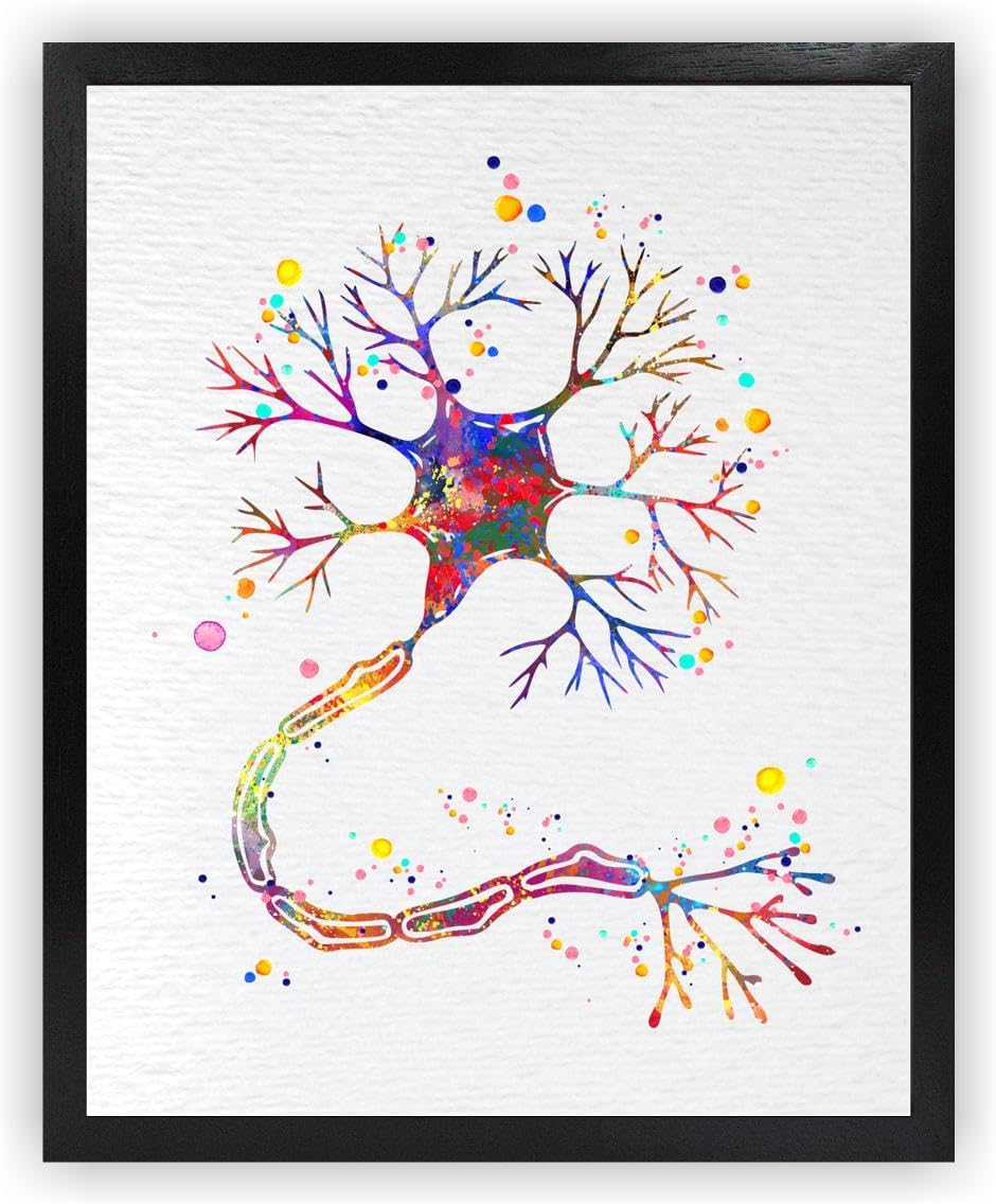 Dignovel Studios 11X14 Unframed Motor Neuron Watercolor Art Print Poster Science Neurology Medical Brain Neuroscience Neurologist Clinic Wall Decor DN634