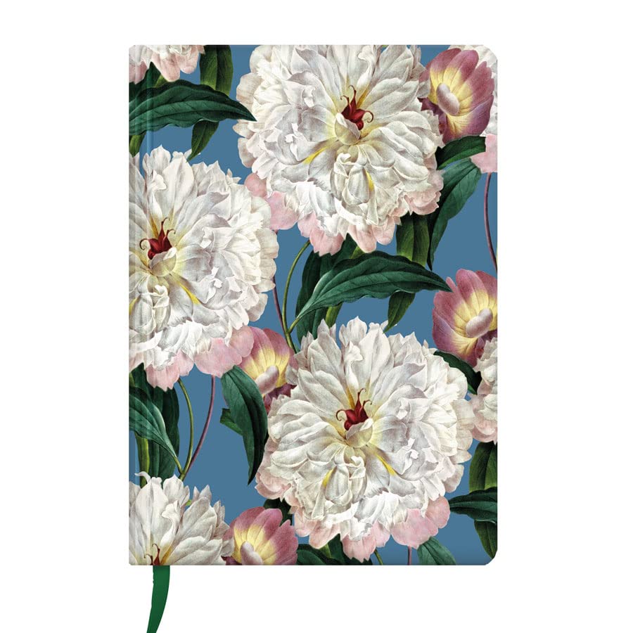 Carnet de notes A5 coccinelle rigide, cahier ligné d'écriture et de dessin