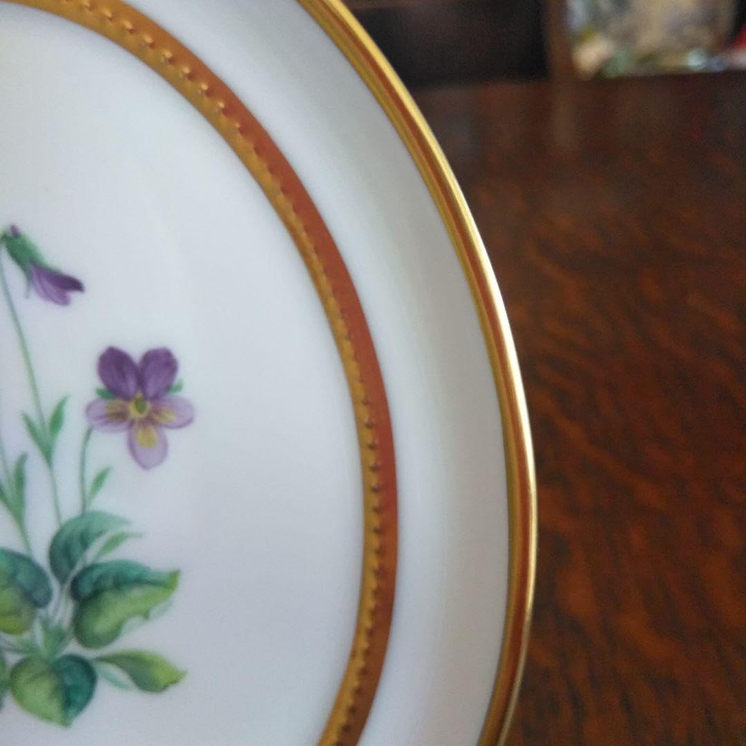 アウガルテン   メドウフラワーズ（6314V）飾り皿  すみれ アウガルテン メドウフラワーズ（6314V）飾り皿 すみれ
