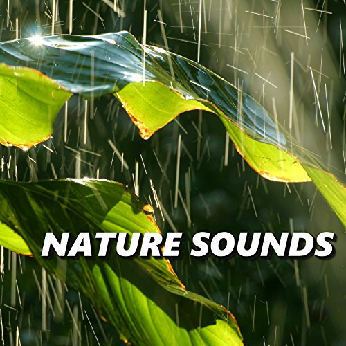 Nature Sounds Nature Sounds XLE Library Digital Music
