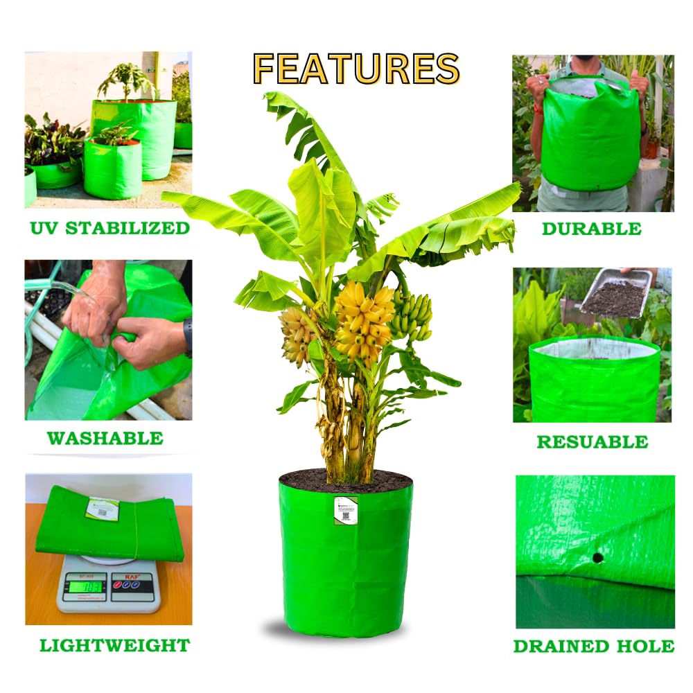 Big Fruit Plant Grow Bags - Organic Bazar (Pack of 2) -3 Big Fruit Plant Grow Bags - Organic Bazar (Pack of 2) -3
