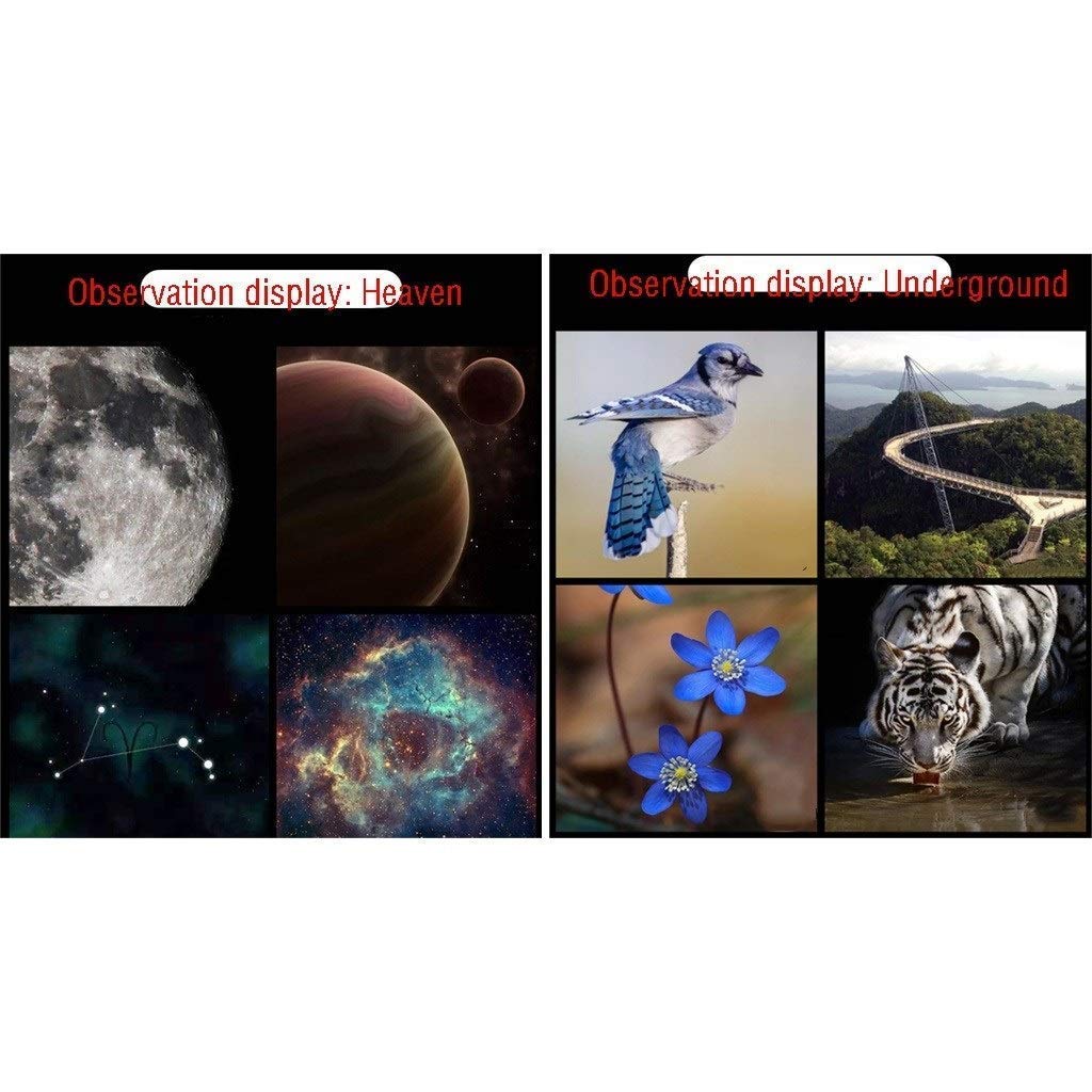 Telescopio para niños Principiantes, Montura AZ de 70 mm de Apertura y 400 mm, óptica Multicapa, telescopios para Adultos, telescopio Refractor de astronomía portátil con trípode, Mochila, el Mejor