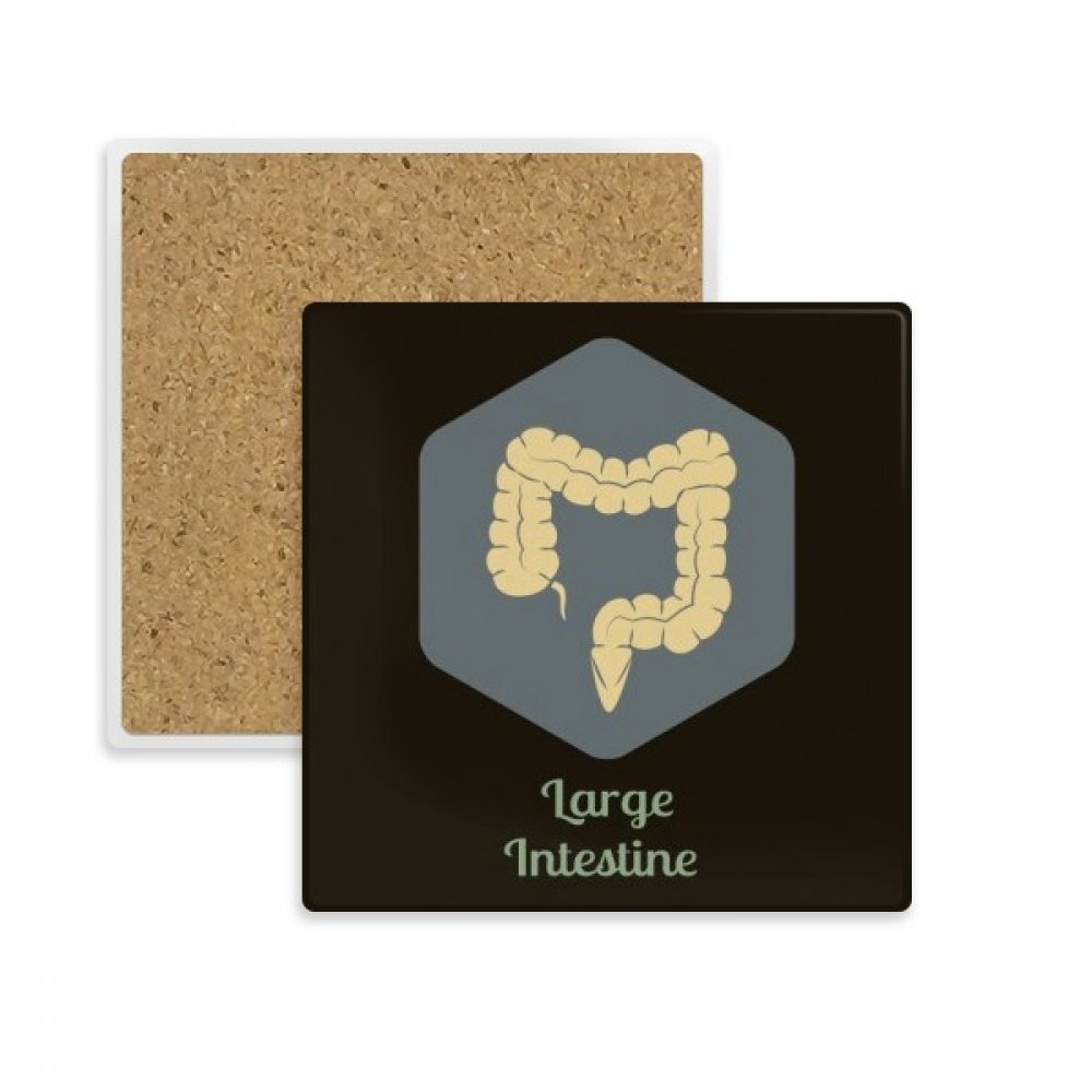 Grand intestin place coaster en pierre, le cadeau insolite de boissons