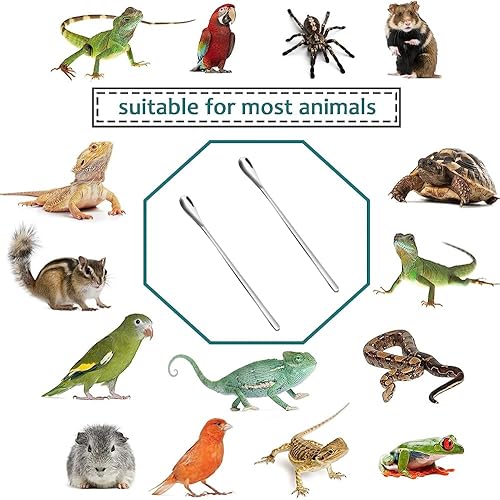 Miniatura 7 de Cuchara de comida para reptiles, accesorios duraderos para Gecko, polvo de reptil, mezcla de frutas, cuchara de alimentación de alimentos,