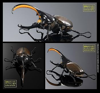 Amazon.co.jp: いきもの大図鑑アドバンス ヘラクレスオオカブト