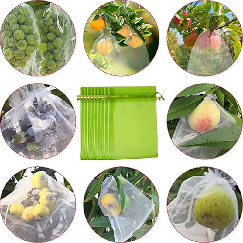 100 sacchetti di protezione per fragole, uva, frutta, a prova di uccelli, a prova di mosche della frutta, controllo dei parassiti da giardino, borsa a rete verde chiaro, borsa per piantare 30 x