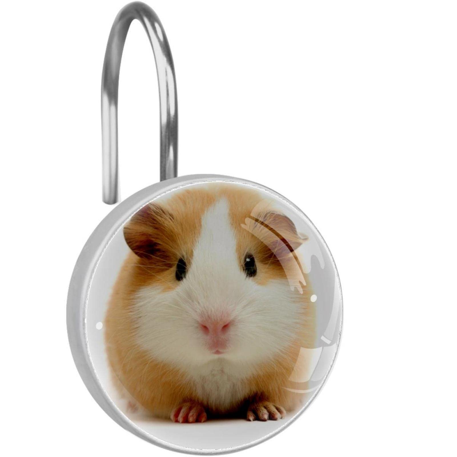 Joli petit hamster en crochets de rideau de douche pour égayer vos matins