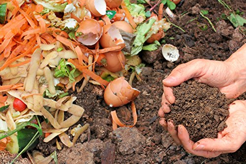 Schnellkomposter Planta Kompostbeschleuniger für effiziente Kompostierung