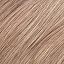 9NA Light Natural Ash Blonde