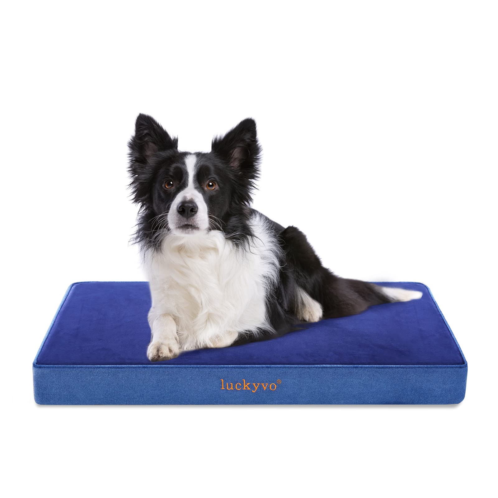 luckyvo Large Dog Bed for Large Dogs, Orthopedic Dog Bed with Washable Removable Cover,Waterproof Dog Bed for Crate, Memory Foam Dog Bed/Crate Pet Bed Suitable for 30 to 90 lbs(35x22x3 inch,Blue)