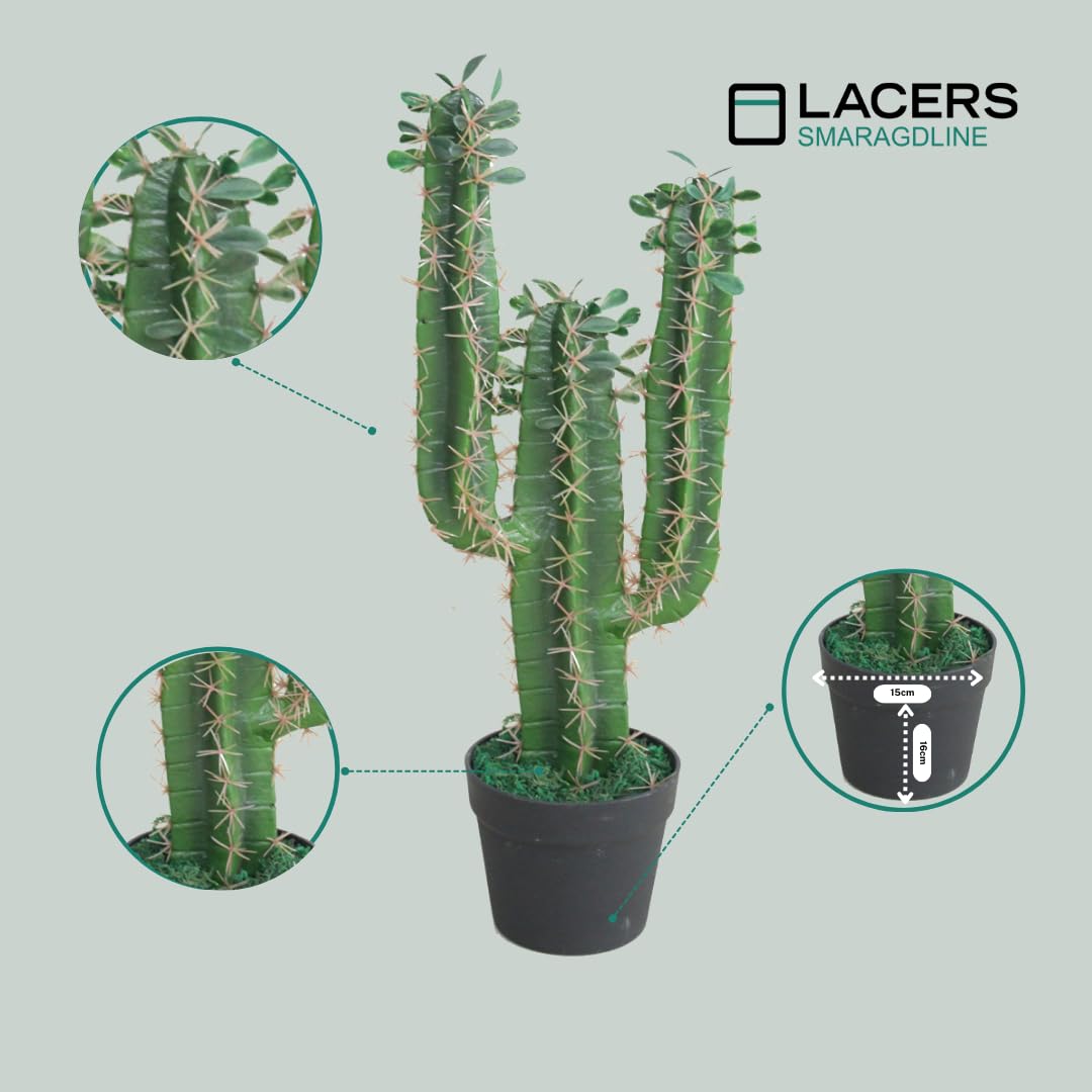 Lacers SMARAGDLINE Künstlicher Kaktus - 60cm - Pflanzen für Wohnungs & Bad Deko - Sukkulenten künstlich, Kunstpflanzen - Wohnzimmer, Büro & Hotel - Fensterbank Deko